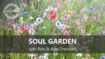 Soul Garden