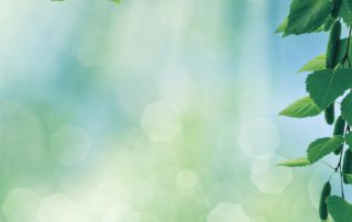 Spirit Lifestyle Coach Manual 06 Healing Ministry