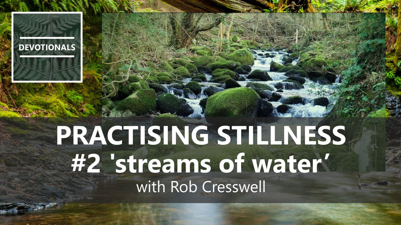PRACTISING STILLNESS 2 - Streams of Water