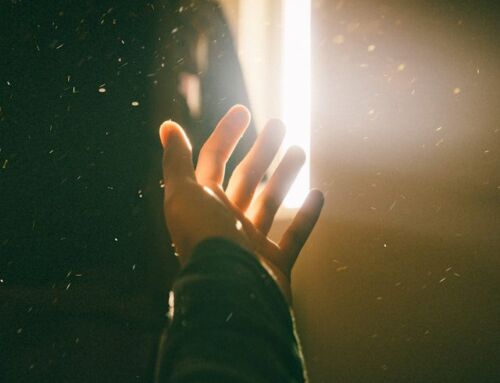The Kingdom of Light