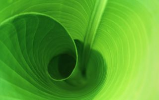 spiritlifestyle healing and well-being