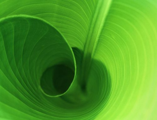 Well-being and healing for the whole person