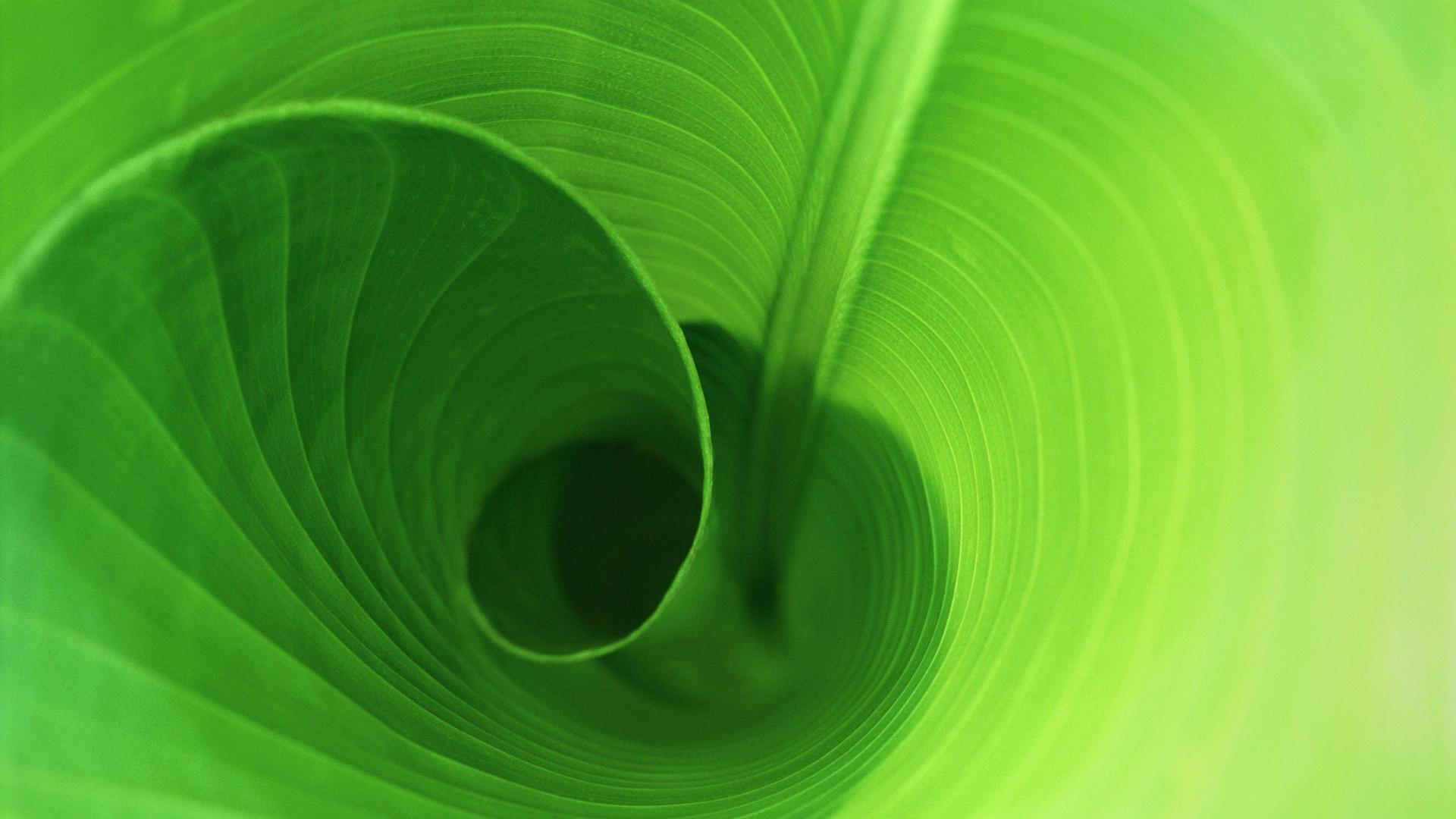 spiritlifestyle healing and well-being