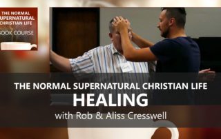 NSCL_E6_HEALING