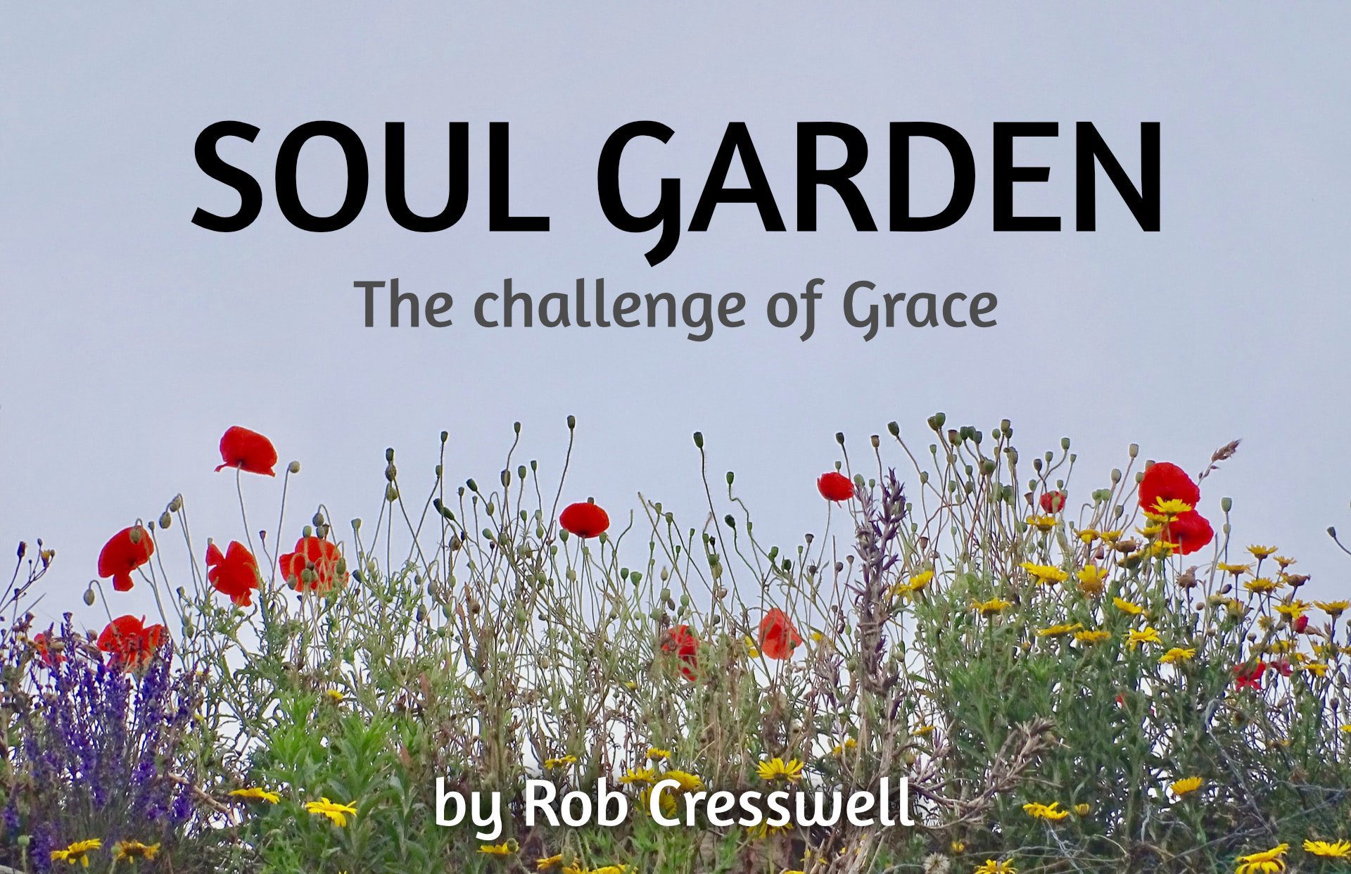 SOUL GARDEN – ARTICLE