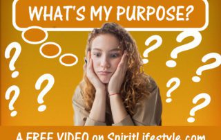 What's my Purpose