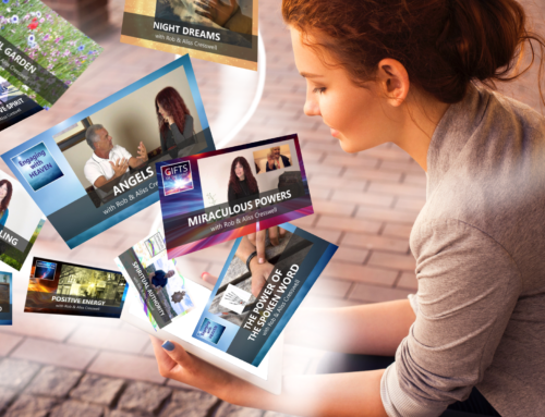 New Spirit Lifestyle Online Training Launched